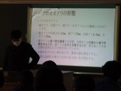 理科