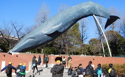 2025.02.13　6年生　校外学習