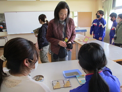 5組販売会