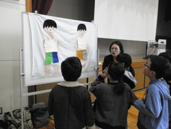模型を使って説明