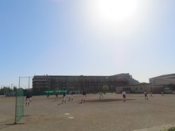 仮入部