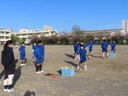 仮入部