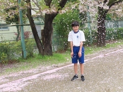 写真