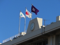 入学