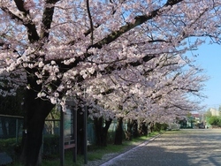 入学