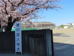 入学