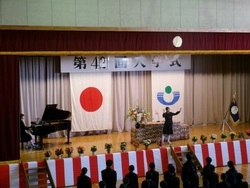 入学