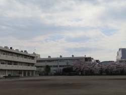 着任