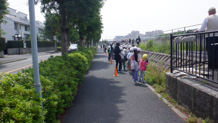4年護岸の花栽培