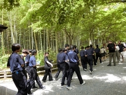 修学旅行