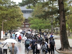 修学旅行