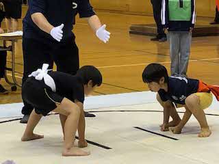 すもう