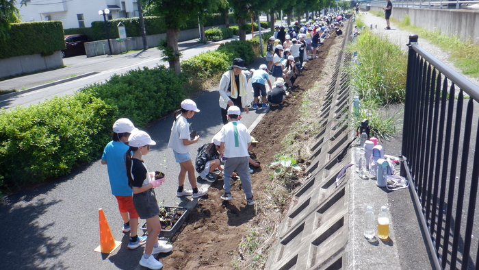 4年花壇の整備3