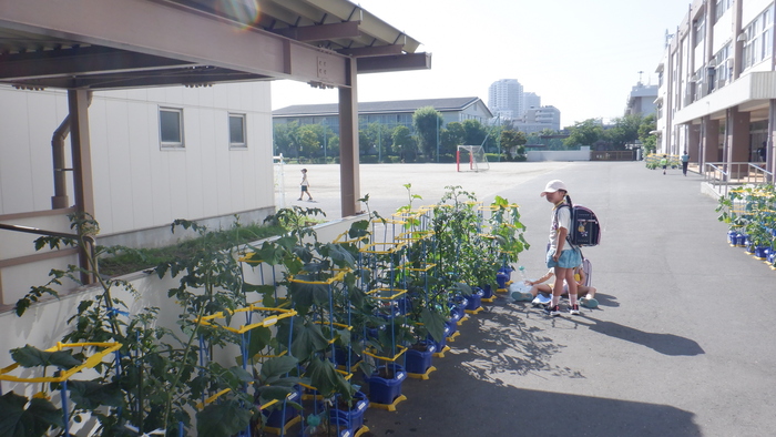 2年野菜