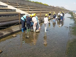 三番瀬におります