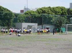 07051302