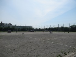 07051303