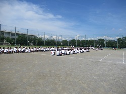 07051504