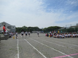 07051806