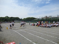 07051807