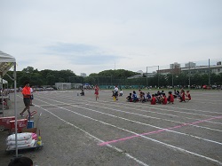 07051812