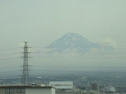 07052906