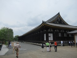 07052914