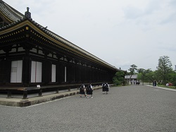 07052915