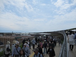 07053044