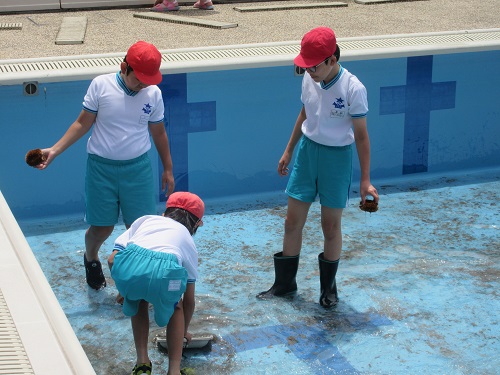 水泳