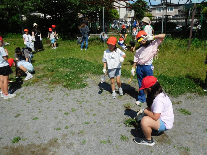 2025.06.16　親子除草作業