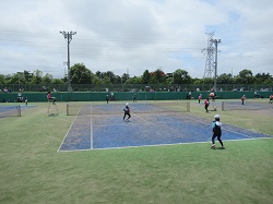 07061509