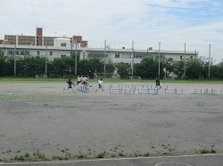 07060401