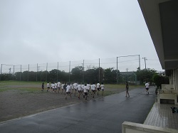 07062603