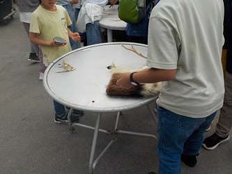 農作業