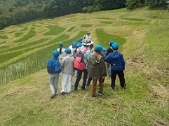 棚田散策