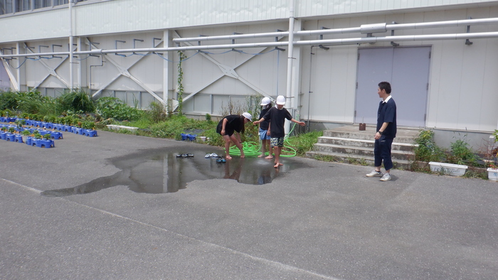 5年田植え2