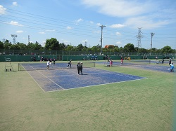 07072808