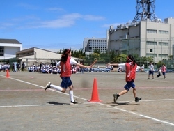 体育祭