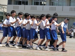 体育祭