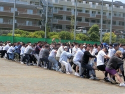 体育祭