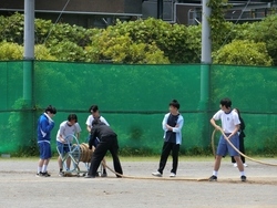 体育祭