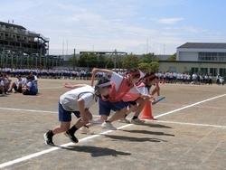 体育祭