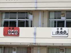 体育祭