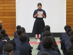 集会