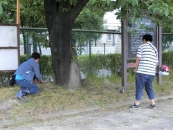 草刈り