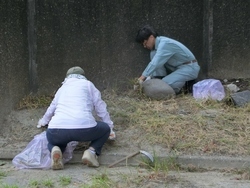 草刈り