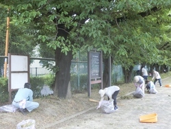 草刈り