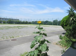 07080401