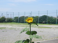 07080402